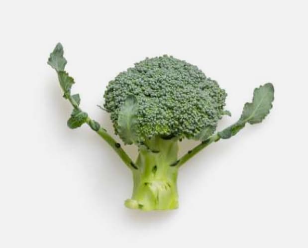 10 Different Types of comfortable clothes ideas for women