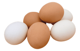 Eggs